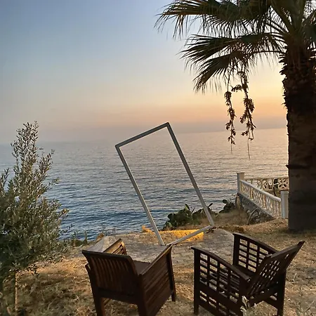 Zbb & אלאניה